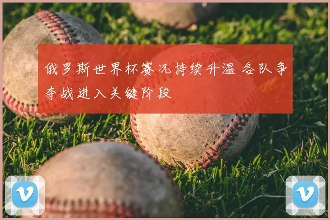 俄罗斯世界杯赛况持续升温 各队争夺战进入关键阶段