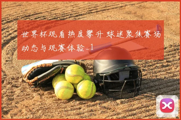 世界杯观看热度攀升 球迷聚焦赛场动态与观赛体验_1