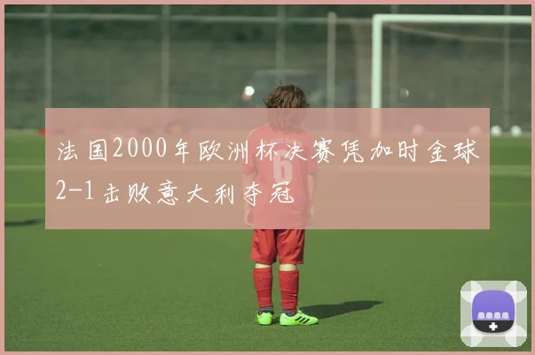 法国2000年欧洲杯决赛凭加时金球2-1击败意大利夺冠